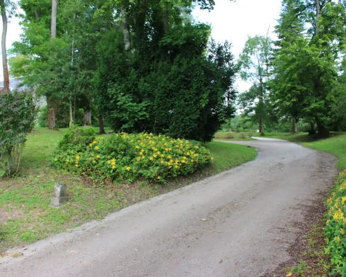 Allée vers Domaine Le Fournay