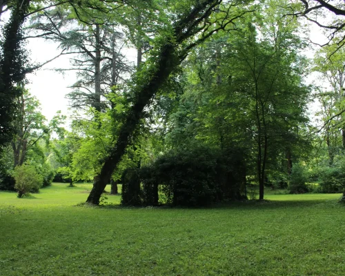 Parc Domaine Le Fournay - Volière