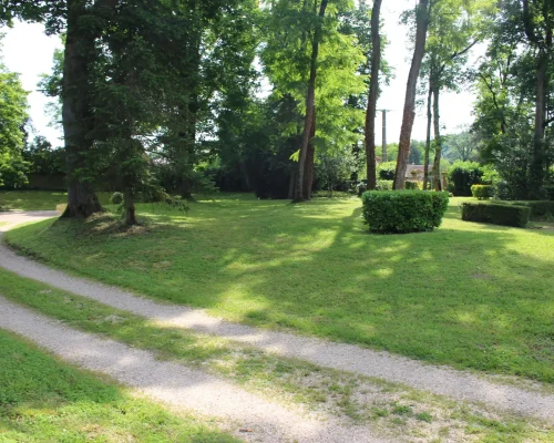 Allée du parc Domaine Le Fournay